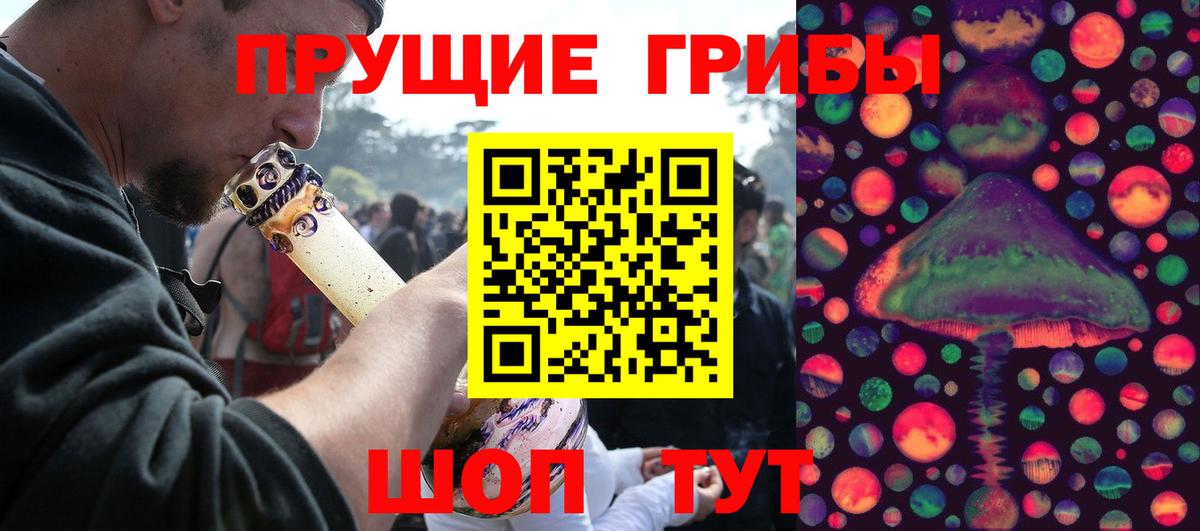 Советская Гавань  Псилоцибиновые грибы мицелий  Вход с VPN 